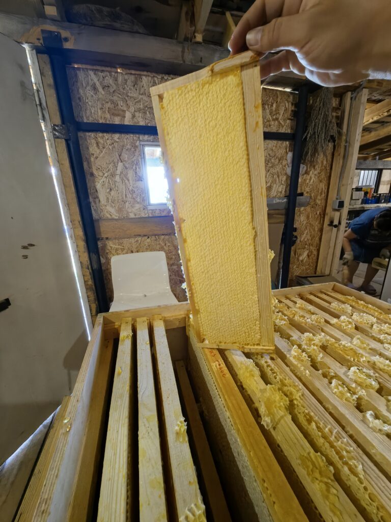 Магазинная рамка